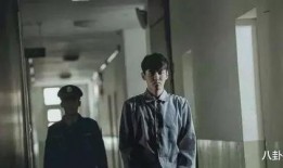 2015娱乐圈吃瓜盘点,年度大瓜盘点，揭秘明星幕后故事