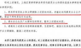 娱乐吃瓜君被律师函警告,揭秘网络舆论的风口浪尖